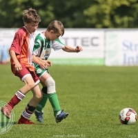 Hostouň-Zichovec 7:1 U13 