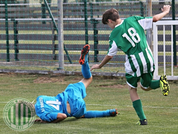 Lidický pohár 2018 (U15)