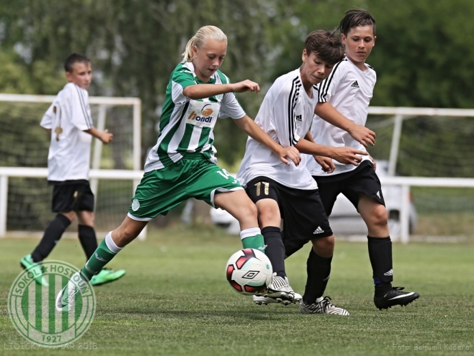 Lidický pohár 2018 (U15) Lidický pohár 2018 (U15)