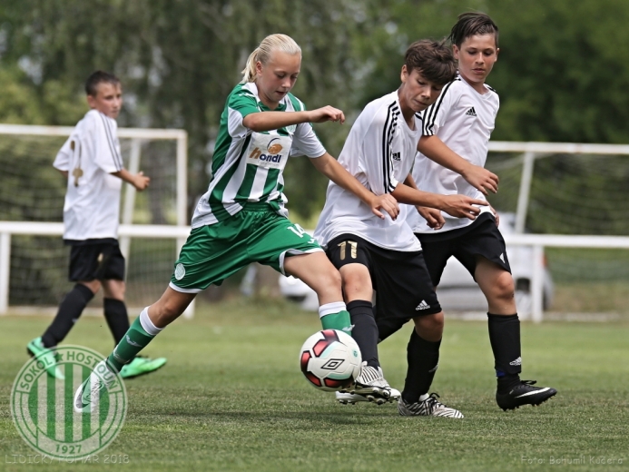 Lidický pohár 2018 (U15)