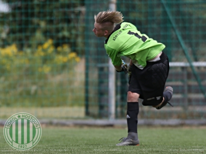 Lidický pohár 2018 (U15)