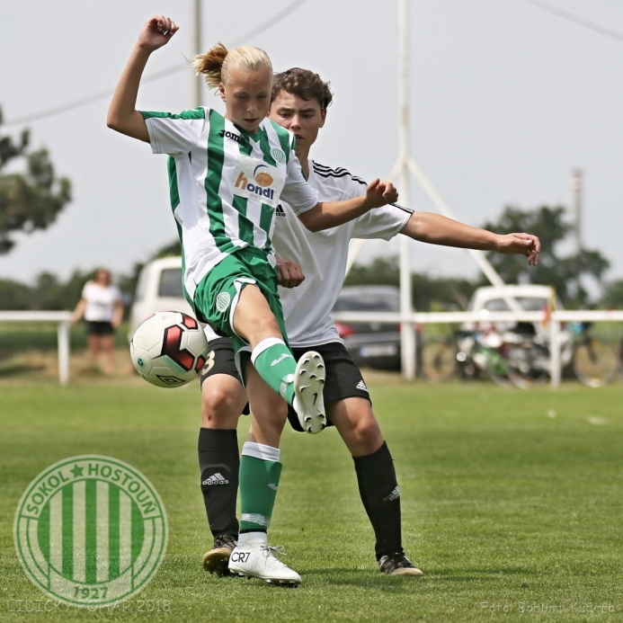 Lidický pohár 2018 (U15) Lidický pohár 2018 (U15)