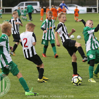 Běchovice CFA U10 20180624