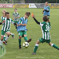 Běchovice CFA U10 20180624