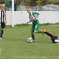 Běchovice CFA U10 20180624