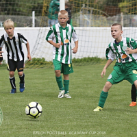 Běchovice CFA U10 20180624