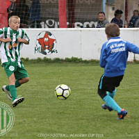 Běchovice CFA U10 20180624