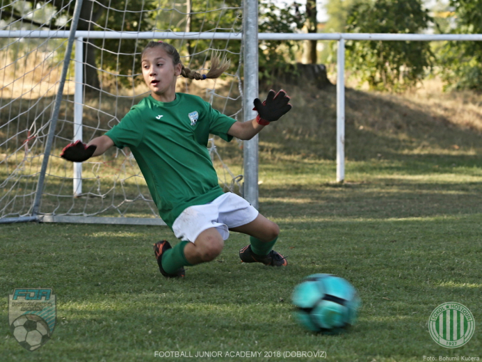 FJA 2018 Dobrovíz FJA 2018 Dobrovíz