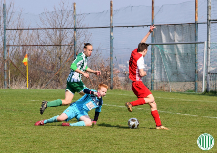 kosmonosy - hostouň (6).jpg kosmonosy - hostouň (6).jpg