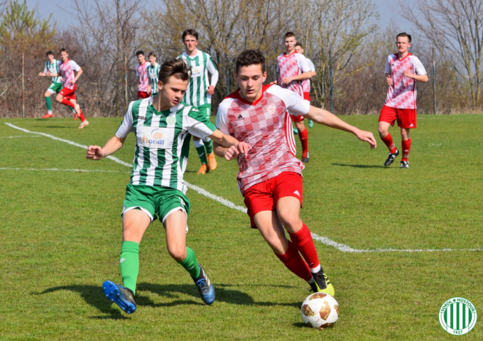 kosmonosy - hostouň (2).jpg kosmonosy - hostouň (2).jpg