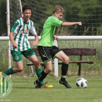 Lidický pohár 2019