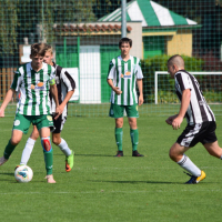 hostouň - dobříš (4).jpg
