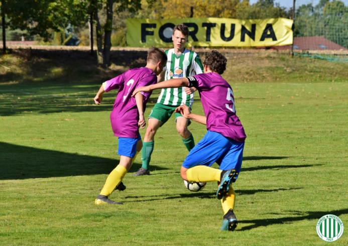 pfa - hostouň (16).jpg pfa - hostouň (16).jpg