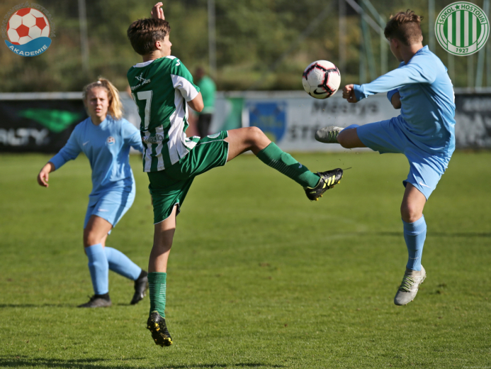 PFA - Hostouň PFA - Hostouň