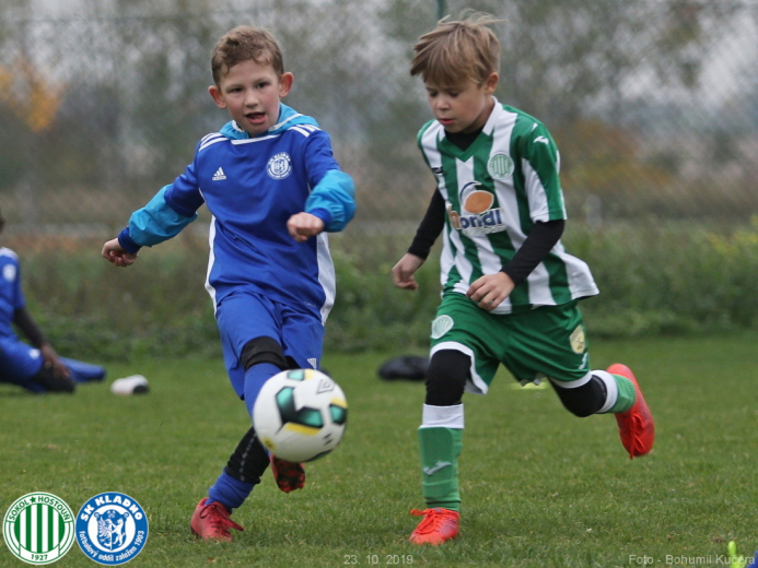 4_hostoun_skkladno2012_20191023boh.jpg 4_hostoun_skkladno2012_20191023boh.jpg