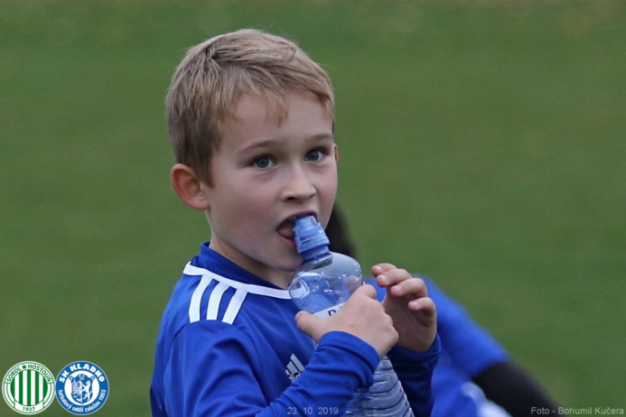 16_hostoun_skkladno2012_20191023boh.jpg