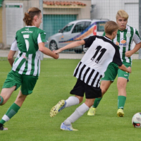 hostoun - mnich.hradiste (11).jpg