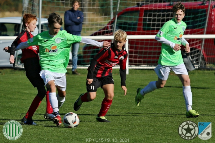 sh-svermov (8).jpg