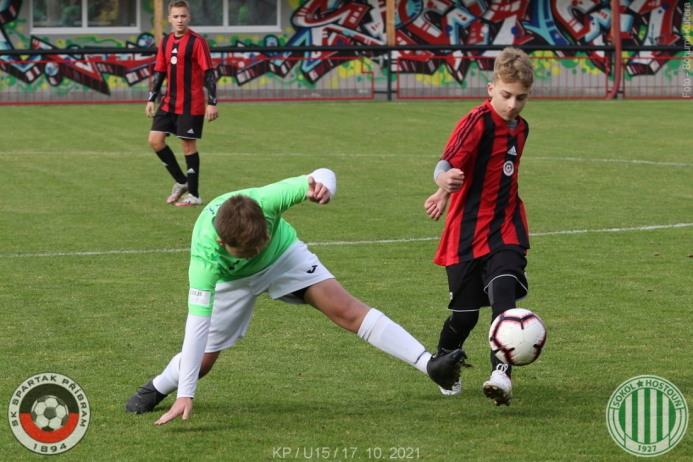 pribram-sh (7).jpg pribram-sh (7).jpg