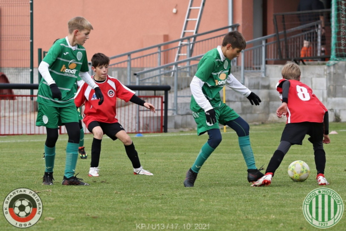 pribram-sh (3).jpg pribram-sh (3).jpg