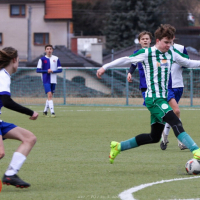 sh-psovka (14).jpg