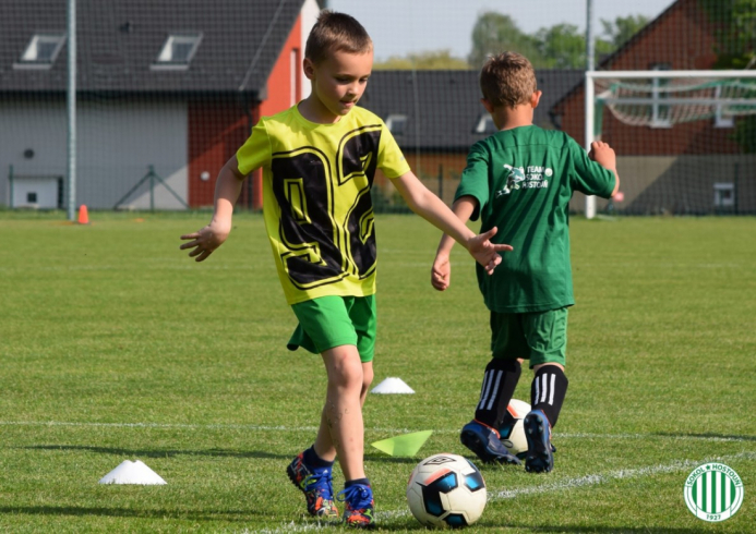 pfa (20).jpg pfa (20).jpg