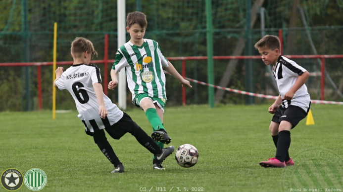 bustehrad-sh (4).jpg bustehrad-sh (4).jpg