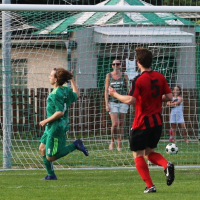 sh-svermov (36).jpg