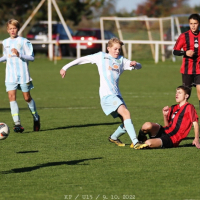 sh-sp.pribram_bk (4).jpg