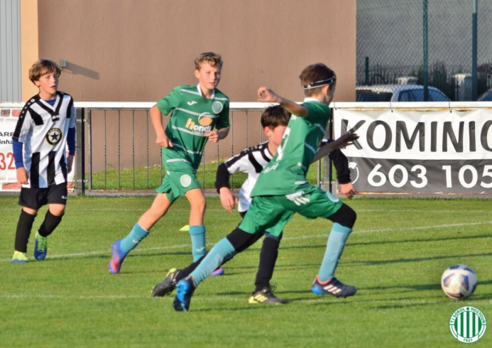 shh-bustehrad (0).jpg shh-bustehrad (0).jpg
