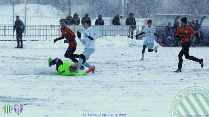 sh-zlicin_bk (36).jpg
