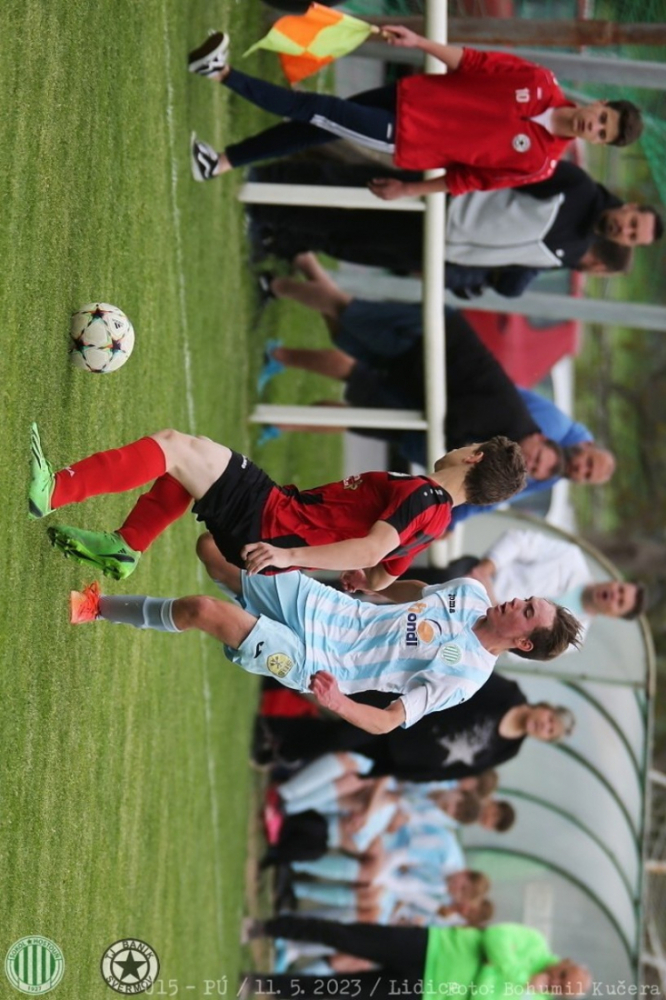 sh-svermov_bk (82).jpg sh-svermov_bk (82).jpg