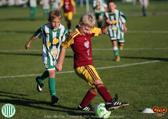 sh-dukla_bk ii (17).jpg sh-dukla_bk ii (17).jpg