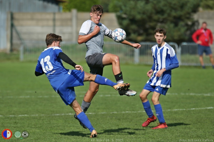 psovka-shbs_bk (14).jpg psovka-shbs_bk (14).jpg