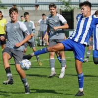psovka-shbs_bk (10).jpg psovka-shbs_bk (10).jpg