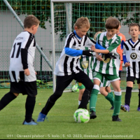 sg-bustehrad (11).jpg