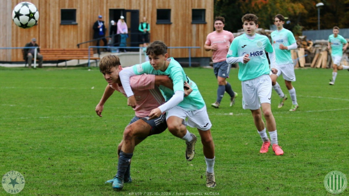 vyzlovka-sh_bk (4).jpg vyzlovka-sh_bk (4).jpg