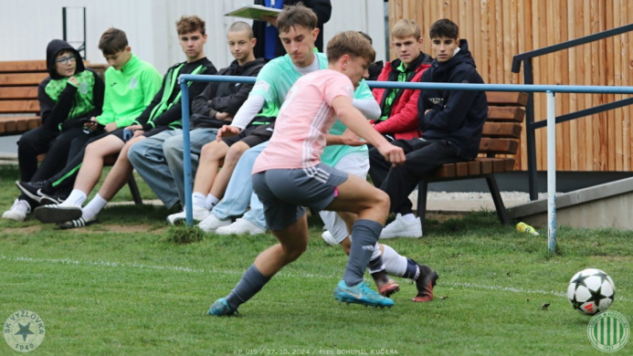 vyzlovka-sh_bk (2).jpg vyzlovka-sh_bk (2).jpg