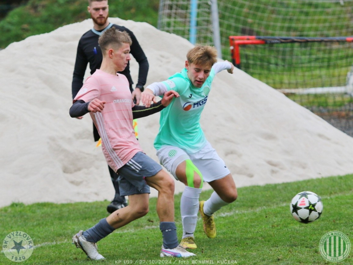 vyzlovka-sh_bk (1).jpg vyzlovka-sh_bk (1).jpg