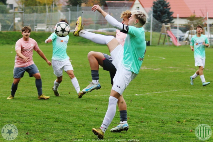 vyzlovka-sh_bk (6).jpg vyzlovka-sh_bk (6).jpg