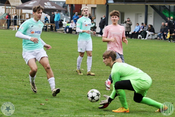 vyzlovka-sh_bk (7).jpg vyzlovka-sh_bk (7).jpg