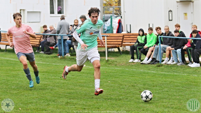 vyzlovka-sh_bk (15).jpg vyzlovka-sh_bk (15).jpg