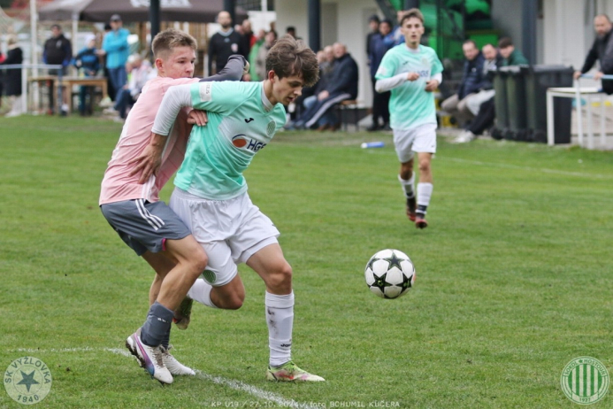 vyzlovka-sh_bk (17).jpg vyzlovka-sh_bk (17).jpg