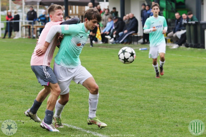 vyzlovka-sh_bk (14).jpg vyzlovka-sh_bk (14).jpg