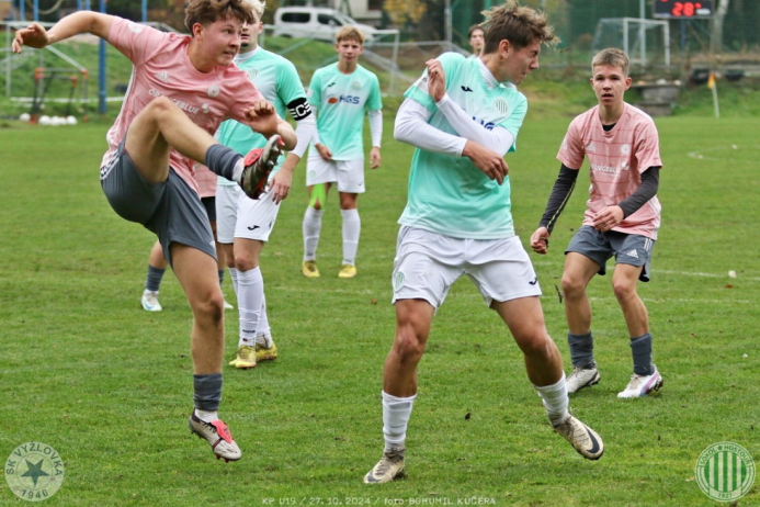 vyzlovka-sh_bk (13).jpg vyzlovka-sh_bk (13).jpg