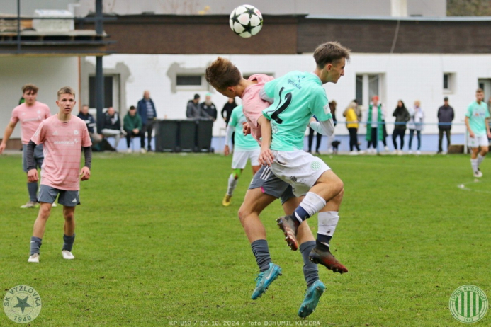 vyzlovka-sh_bk (21).jpg vyzlovka-sh_bk (21).jpg