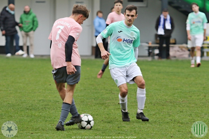 vyzlovka-sh_bk (35).jpg vyzlovka-sh_bk (35).jpg