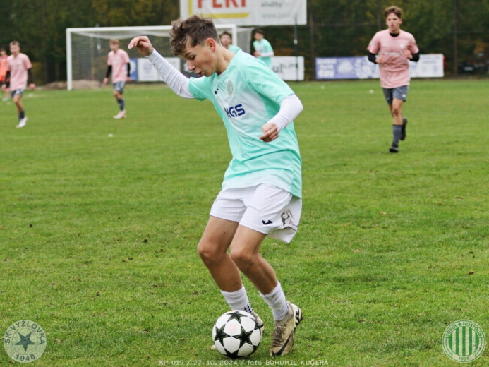 vyzlovka-sh_bk (43).jpg vyzlovka-sh_bk (43).jpg