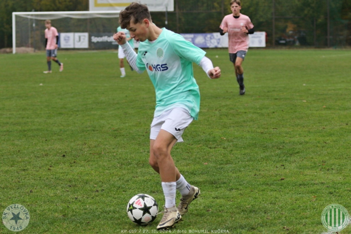 vyzlovka-sh_bk (42).jpg vyzlovka-sh_bk (42).jpg