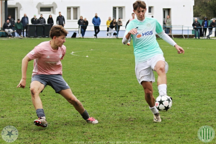 vyzlovka-sh_bk (49).jpg vyzlovka-sh_bk (49).jpg
